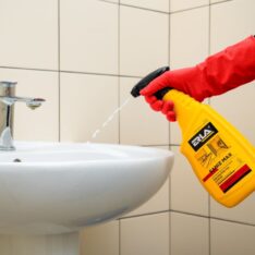 R3011 - ERLA Saniz Max 750ml