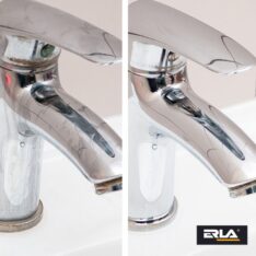 R3011 - ERLA Saniz Max 750ml