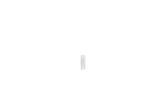 BOSCH 1.2W 12V ECO W2x4.6d – 1987302824